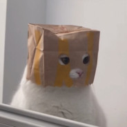 野生的梦幻出现了！