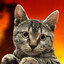 MacOS X Snow Leopard