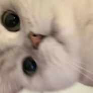 吃饭不吃米尖尖