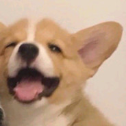 你要不要吃炸鸡