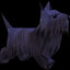 Blue Dog