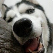 Big Avatar