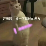 玩家头像