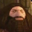 ps1 hagrid