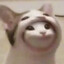 N O O T E L L A