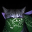 gang cat