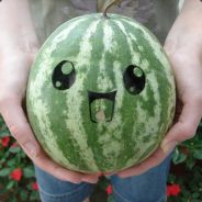 Defunked Melon