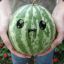 Defunked Melon