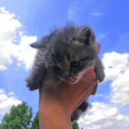 厌食症主治医师