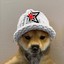dog_JD