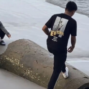 𝓥𝓐𝓛𝓛𝓔𝓝3939