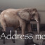 Address Me