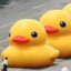HolyRubberDUCK-