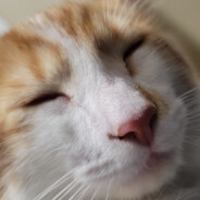 Mike - steam id 76561198234531944