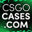 CS.ARMY