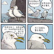 去码头整点薯条