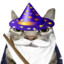 Magical Wizard Cat