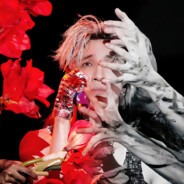 薛豹（随机赢对开）