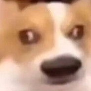 10000000000000000层q狗头