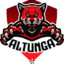 @LTUNG@