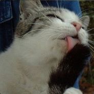 想你时你在舔鞭