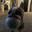 Spanky