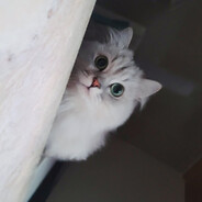 来一袋全麦面包