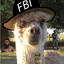 Agent llama