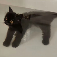 Super Tyrannosaurus Warrior