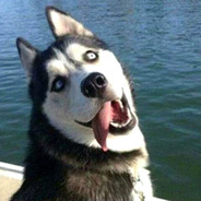 可爱玩家林有有