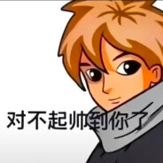 对不起帅到你了