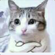 清华北大孙晓晨