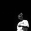 Drakee.