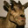 1776_Enjoyer