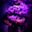 𝔾𝕒𝕟𝕘 𝔹𝕠𝕚