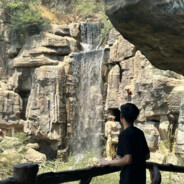 我的牛至会后空翻