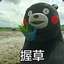暗中观察