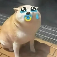 提瓦特居民667