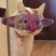 收手吧，外面全是警察