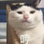 吃啥呢给我掰点