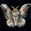 Avatar of Lord Moth