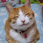 The Happy Smiler