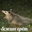 Нахастетварь