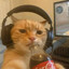 DyMOOk