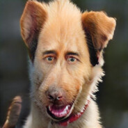 Crest Chicken Calzone Gaming