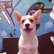 七枪六马五分钟四把