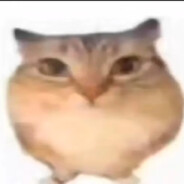 悠闲的巴巴博一((( д