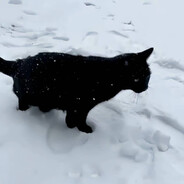 你安然入睡 我就像关二爷单刀赴会