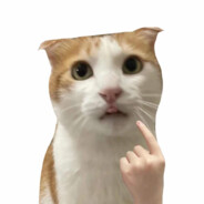 爱吃不吃不吃滚蛋