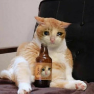 에일 the Anti Try Hard